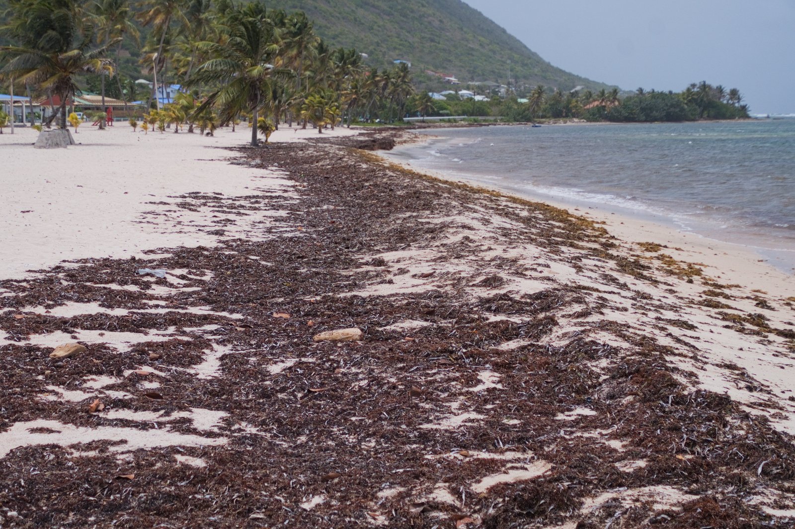 Plage a Fifi